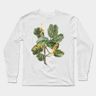 Almug Tree, pastel drawing Long Sleeve T-Shirt